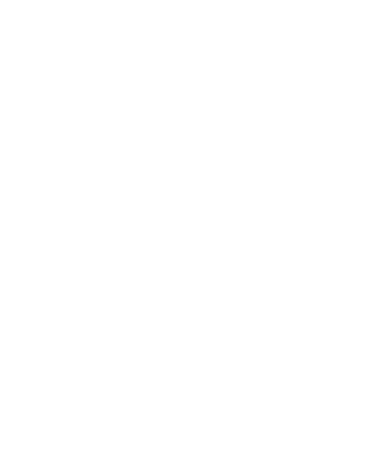 365 Imports